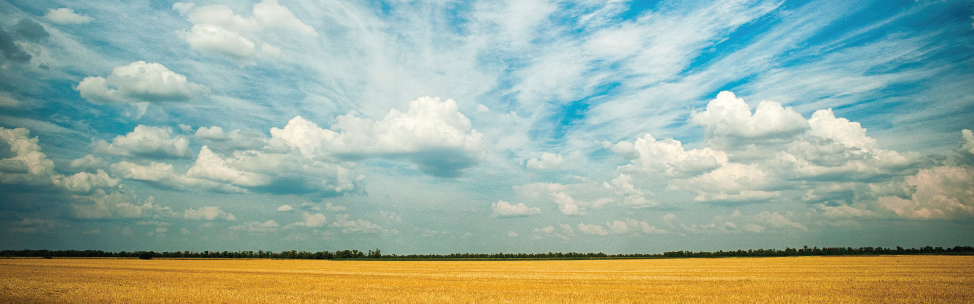 field